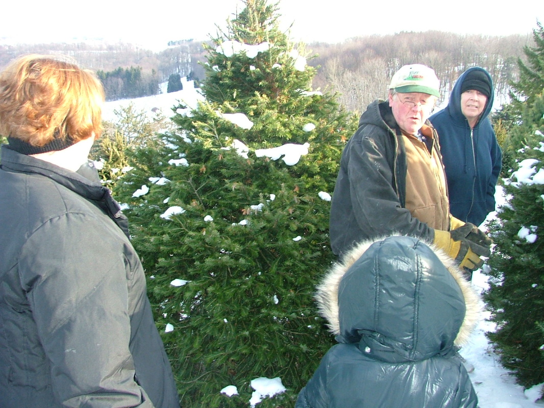 Pine Hill Farms Christmas Tree Farm Home
